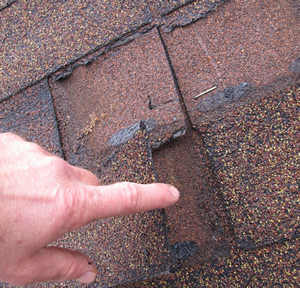 Signs of roof damage